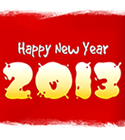 Happy New Year 2013