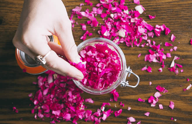 Ways to Effectively Use Rose Petals for Beauty