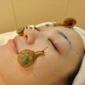 'Snail Facials' To Improve Skin Health Via Mucus Trail
