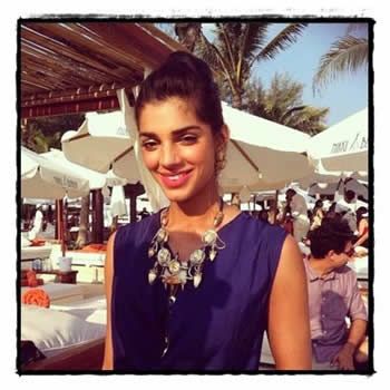 Sanam Saeed Post Wedding Dinner Pictures