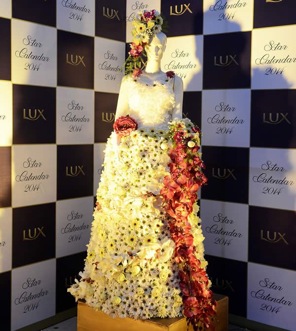 Lux Star Calendar 2014 Unveiled in Style