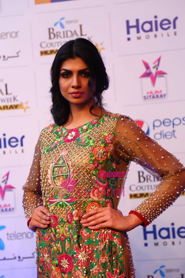 Red Carpet of TBCW 2015 Lahore Event Gallery
