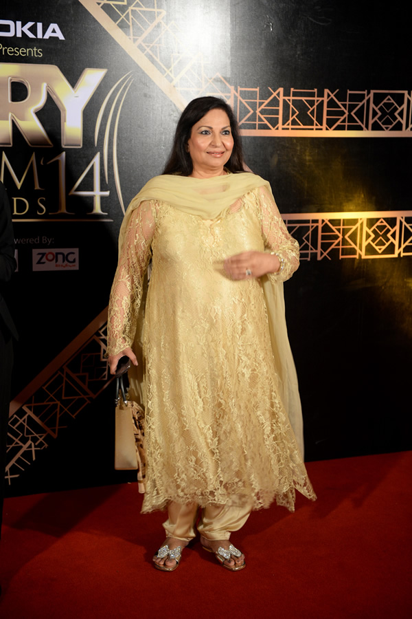 1st ARY Film Awards 2014 - Red Carpet