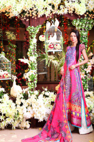 Summer Lawn Collection 2012 by Nomi Ansari, Summer Lawn Collection 2012