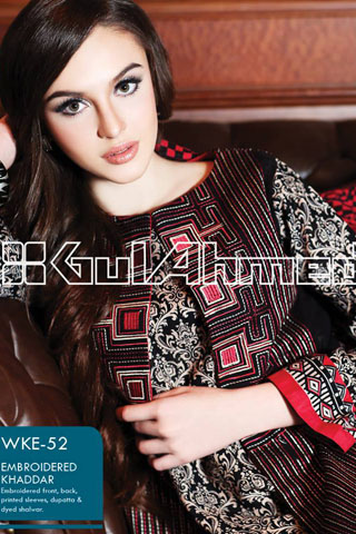 Gul Ahmed Fall/Winter 2013 Embroidered Khaddar Collection