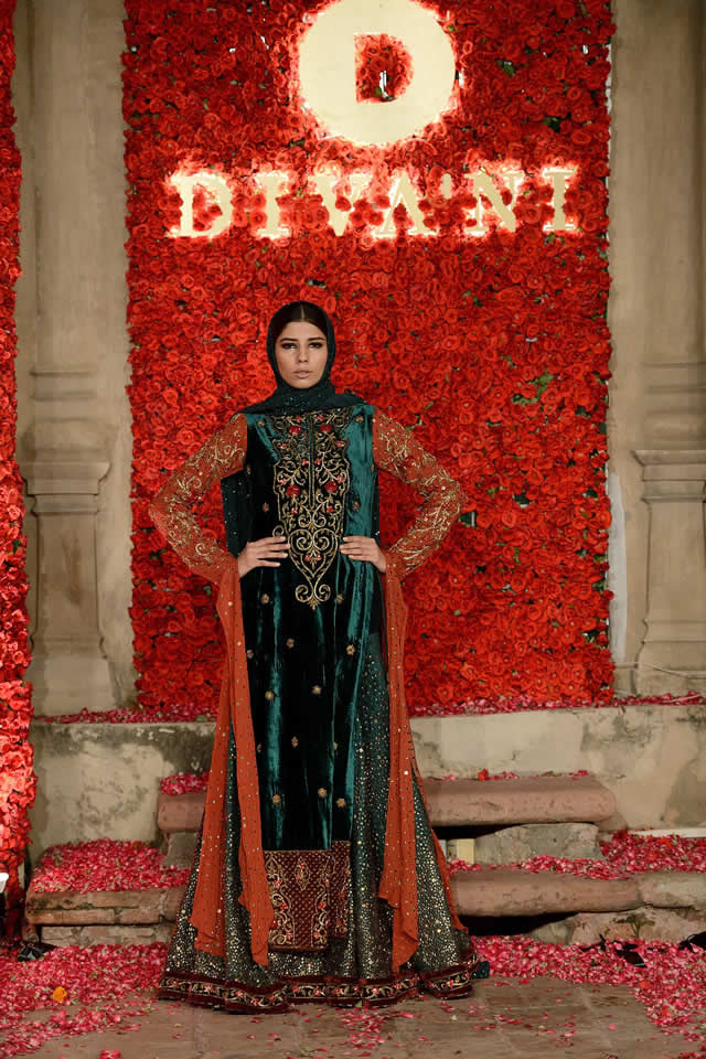 Fashion Brand DIVANI Couture collection 2016 Pics