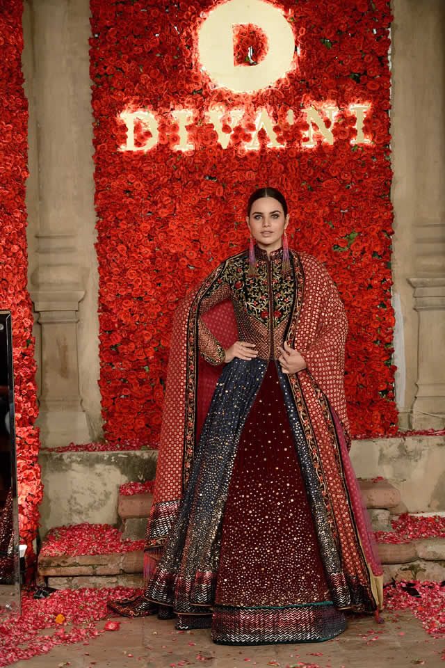 Fashion Brand DIVANI Couture collection 2016 Pictures