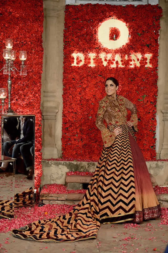 Fashion Brand DIVANI Couture collection 2016 Photos