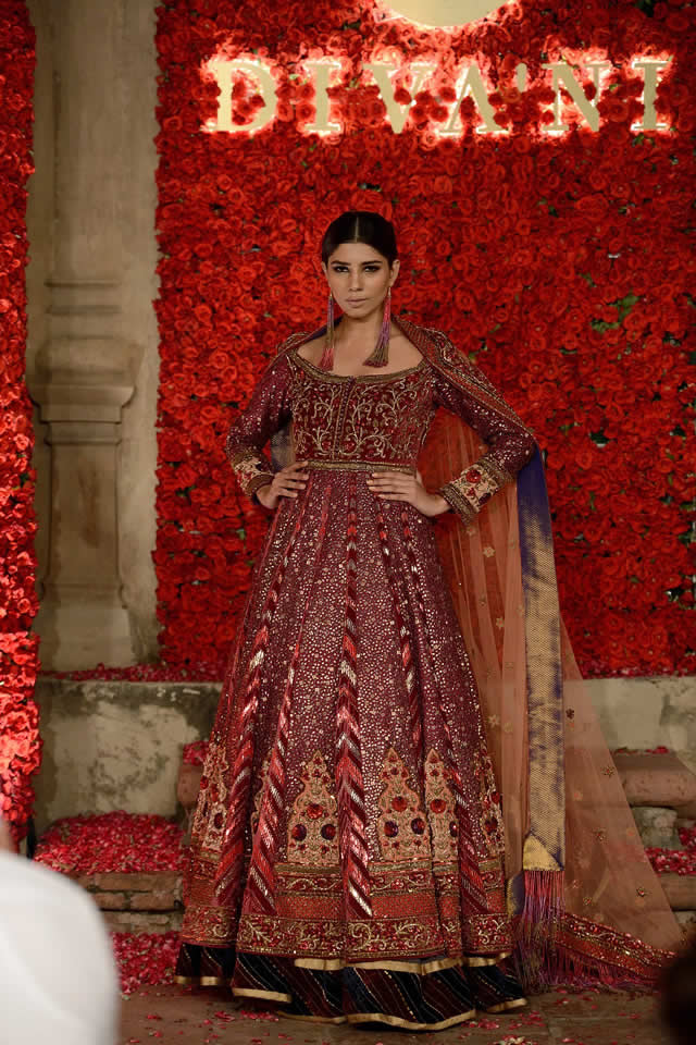 DIVANI Couture collection 2016 Pictures