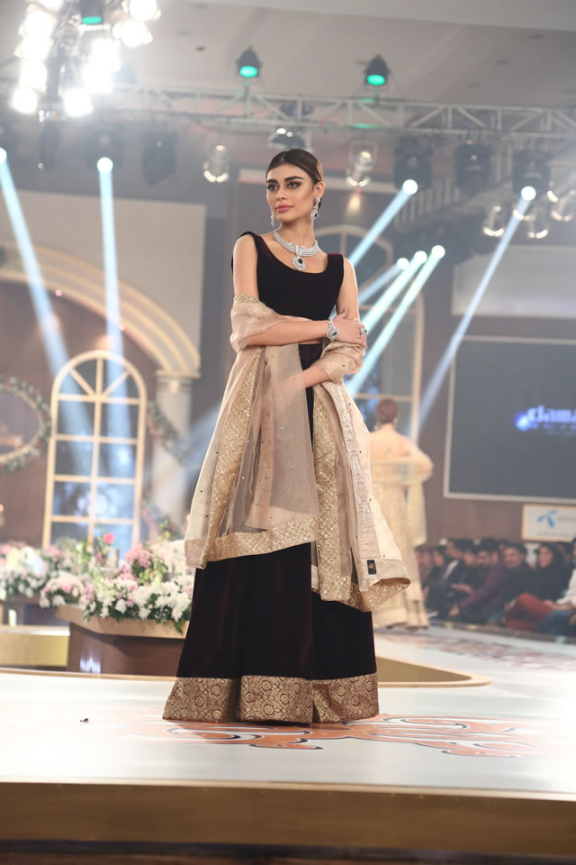 2015 TBCW Damas Latest Collection Images