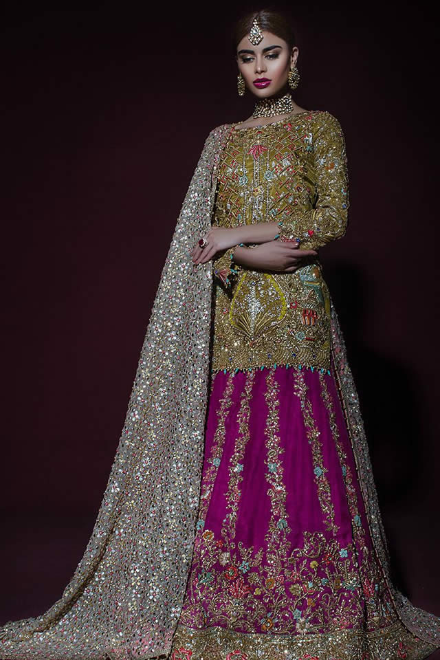 Tena Durrani Bridal Dresses collection 2017 Pics