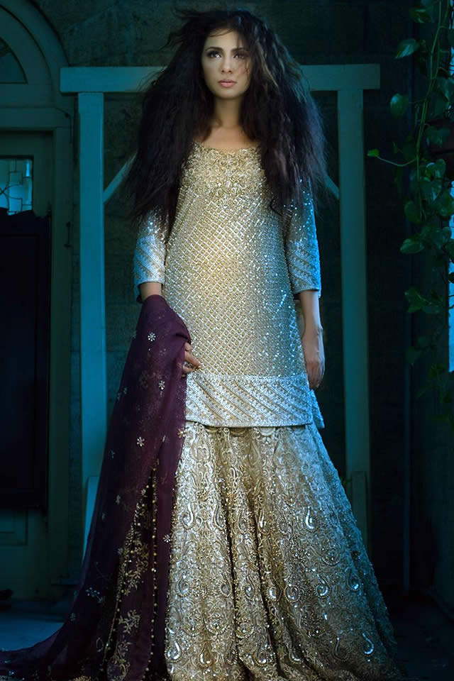 Tena Durrani Bridal collection 2016 Pics