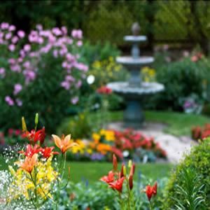 Tips For Texturing Your Garden