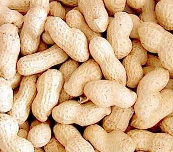 Peanuts- A Vegetable