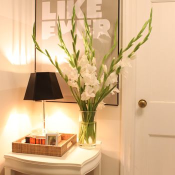 Wonderful Hallway ideas for your Home
