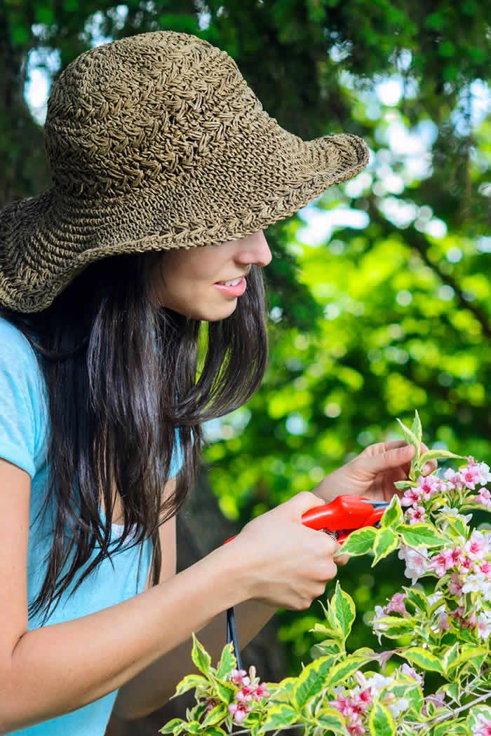 8 Simple Gardening Tips and Tricks