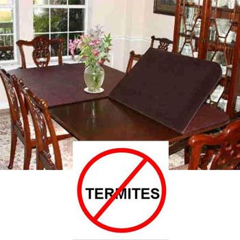 How To Keep Your Furniture Termite Free