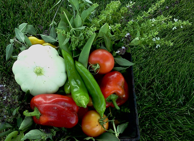 Organic Gardening within your Home